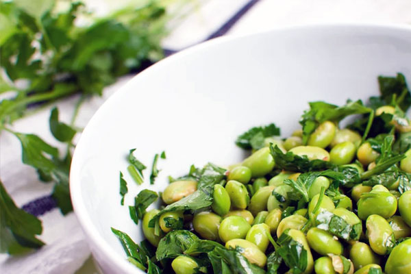 Veg Fava Bean Salad